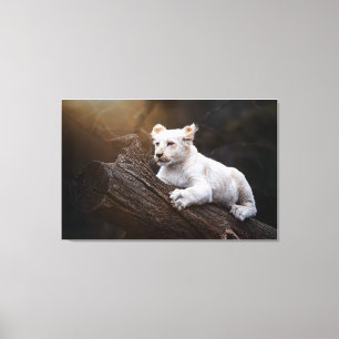 Toile Cube sud-africaine blanc Lion Cub