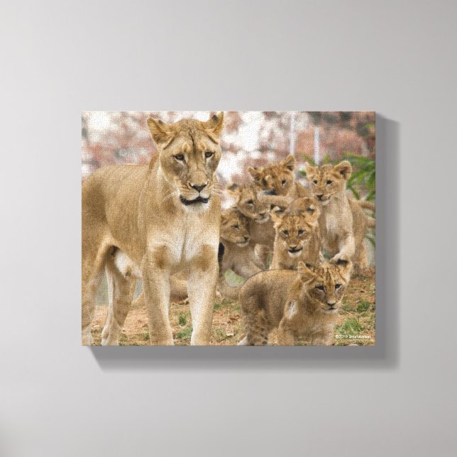 Toile Cubes de Lion Africains avec mère (Recto)