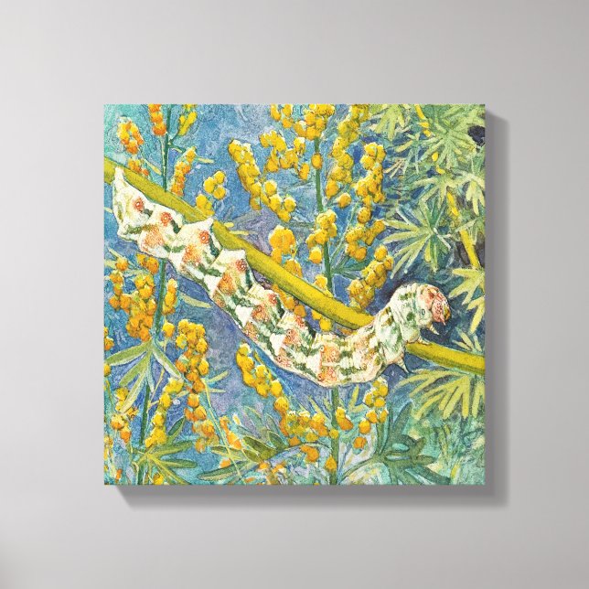 Toile Cucullia Absinthii Wormwood (Recto)