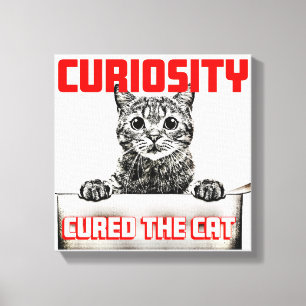 Toile Curiosité soignée Chat