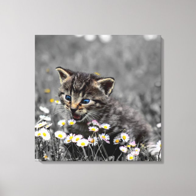 Toile Cute adorable Chat Kitten (Recto)