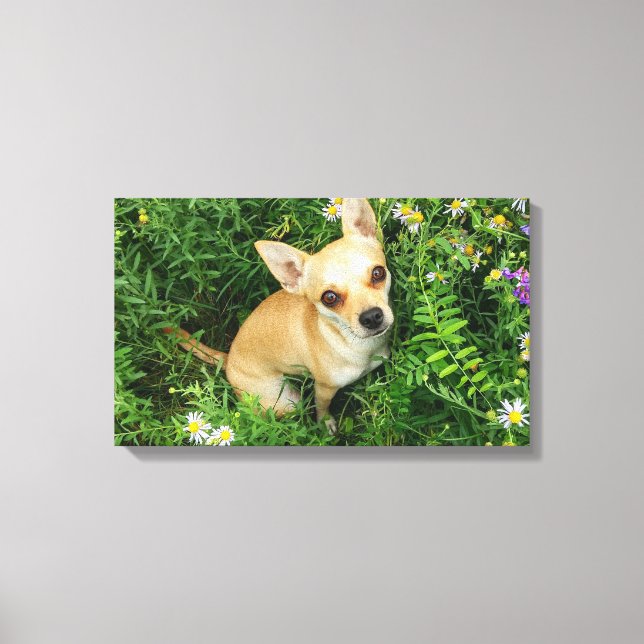 Toile Cute Chihuahua in Grass Meadow (Recto)