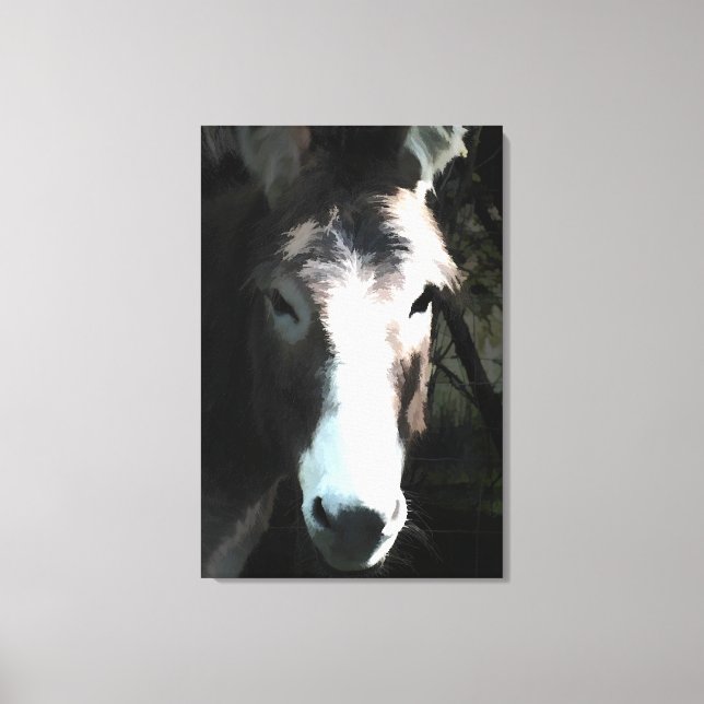 TOILE CUTE DONKEY (Recto)