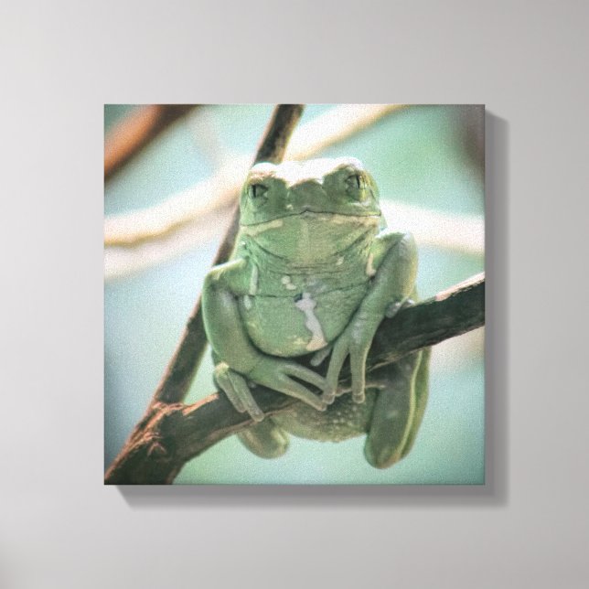 Toile Cute grenouille verte assise sur une branche (Recto)