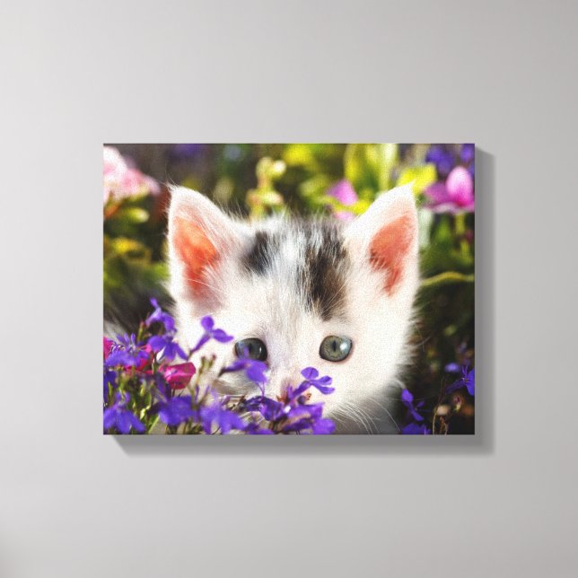 Toile Cute Kitten Fleurs de printemps Jardin Chat Photo (Recto)