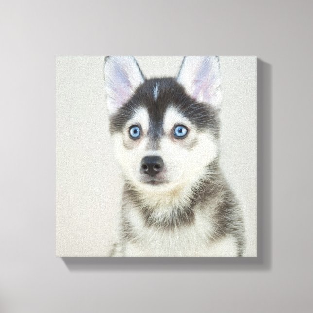 Toile Cute Petit Pomsky Puppy (Recto)
