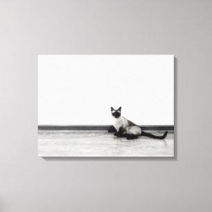 Toile CUTE Siamese Portrait de chat