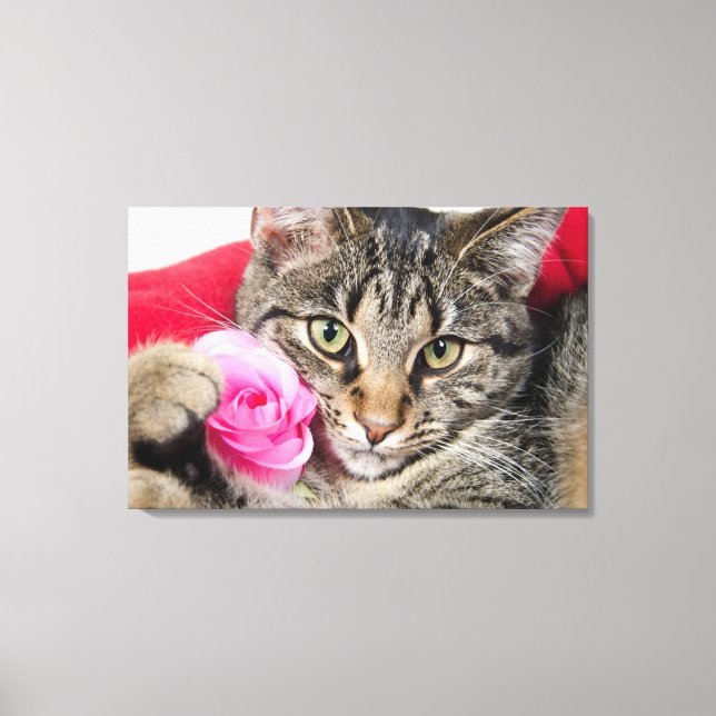 Toile Cute Tabby Chat Avec Rose (Recto)