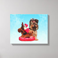 Cute Yorkshire Terrier Joyeux Noël
