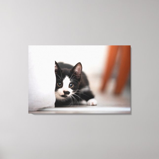 Toile Cutest Baby Animals | Black & White Kitten (Recto)
