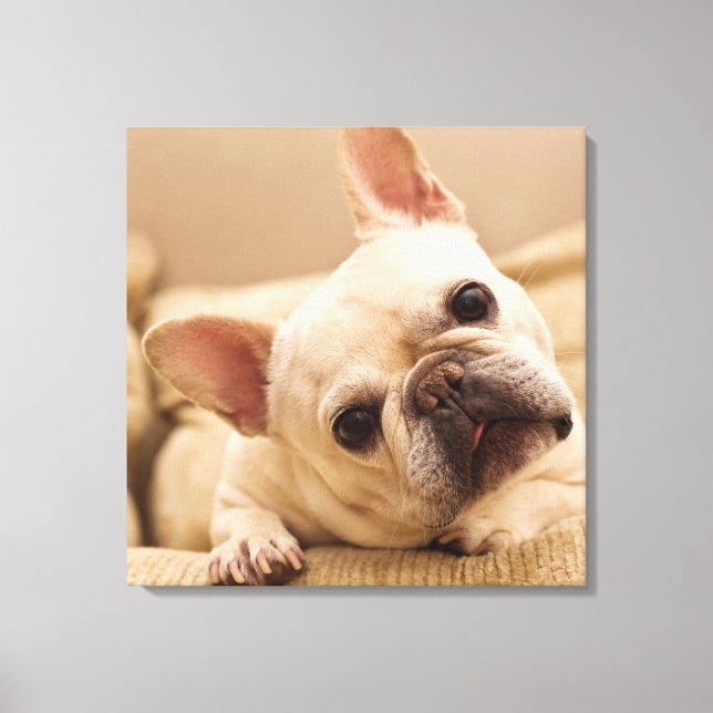 Toile Cutest Baby Animals | French Bulldog Head Tilt (Recto)