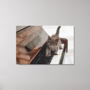 Toile Cutest Baby Animals   Kitten on Piano