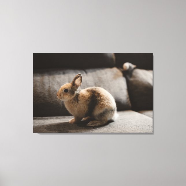 Toile Cutest Baby Animals | Netherland Dwarf Rabbit (Recto)