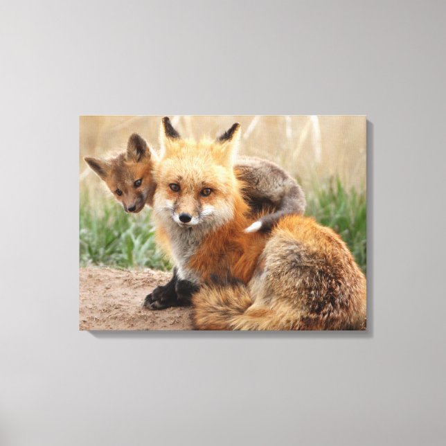 Toile Cutest Baby Animals | Red Fox & Baby (Recto)