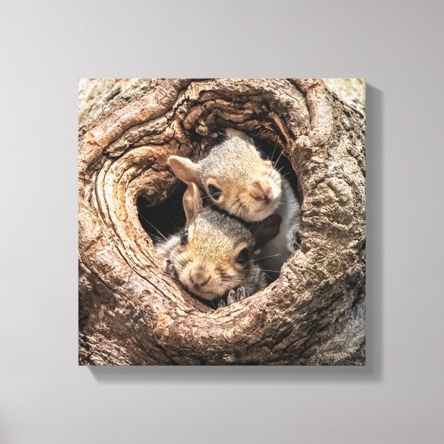 Toile Cutest Baby Animals | Two Young Squirrels (Recto)