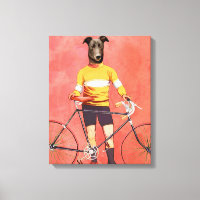 Cycliste Greyhound