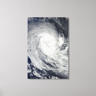 Toile Cyclone tropical Imani