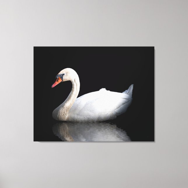 Toile Cygne blanc sur noir (Recto)