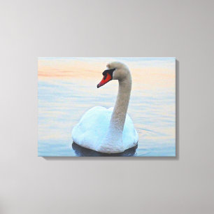 Toile Cygne serein