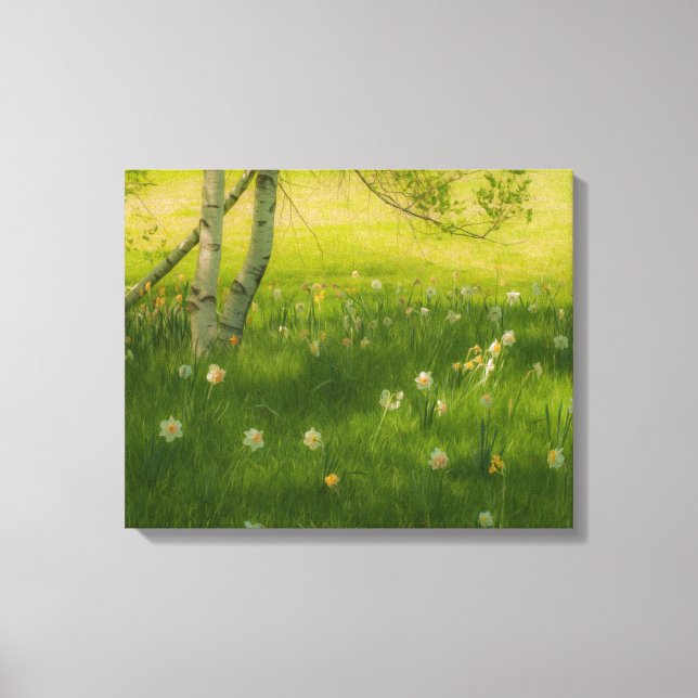 Toile Daffodiques de printemps (Recto)