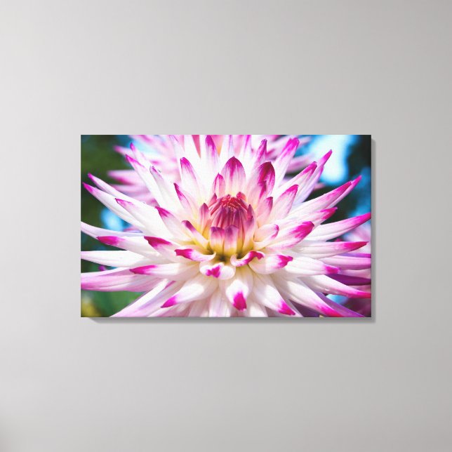 Toile Dahlia rose et blanc (Recto)