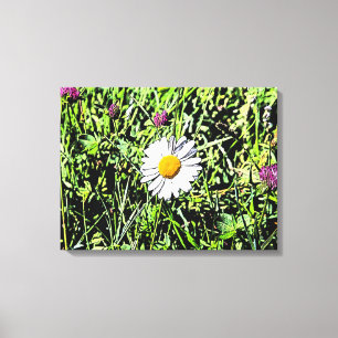 Toile Daisy
