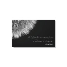 Dandelion en noir et blanc avec devis