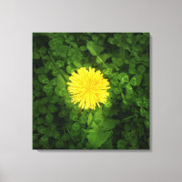 Toile Dandelion Enveloppée