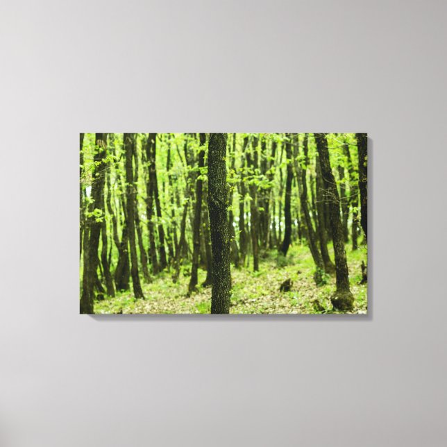 Toile Dans le bois (Recto)