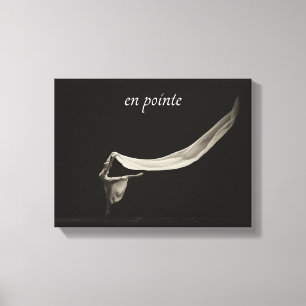 Toile Danse Art Ballet en pointe Danse