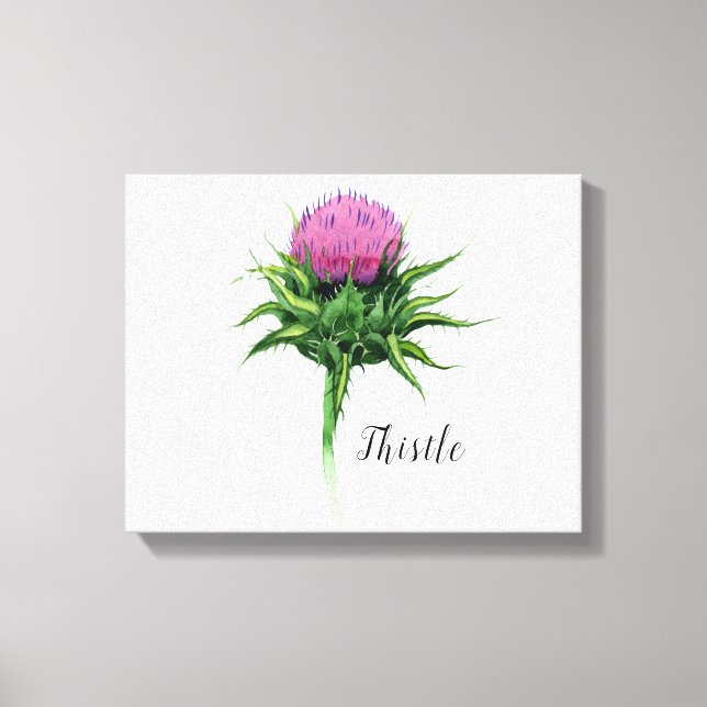 Toile d'aquarelle Fleur de chardon (Recto)