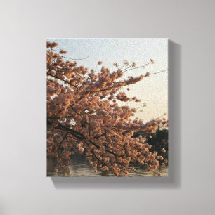 Toile d'arbre de fleurs de cerisier