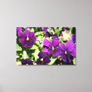 Toile d'art enveloppée par pensée pourpre