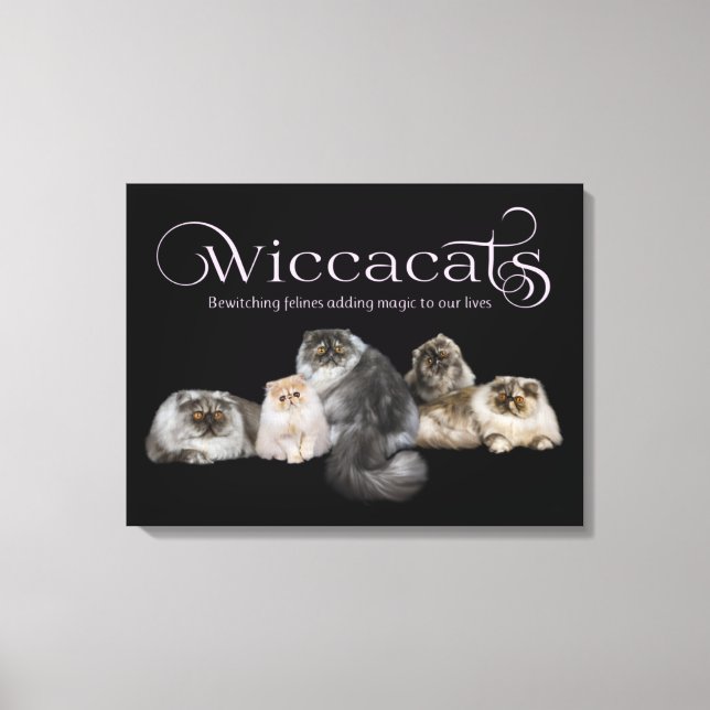 Toile d'art WiccaCats (Recto)