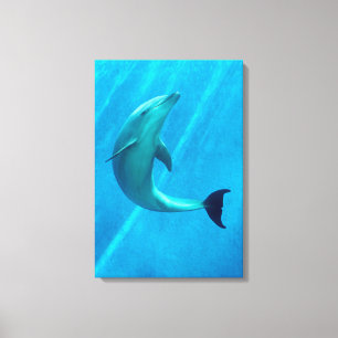 Toile Dauphin