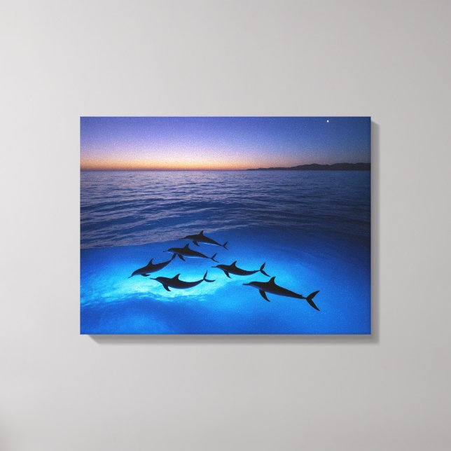 Toile Dauphins de minuit (Recto)