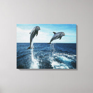 Toile Dauphins jumeaux