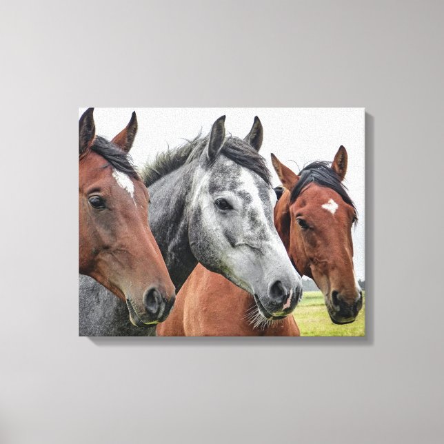 Toile De beaux chevaux (Recto)