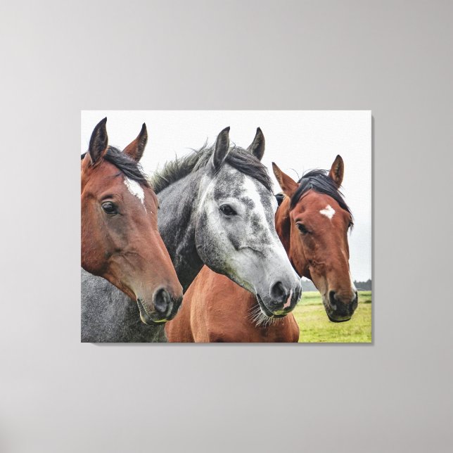 Toile De beaux chevaux (Recto)