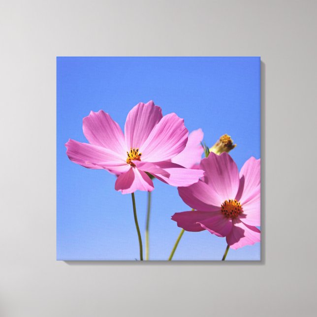 Toile de belles fleurs roses serrant un ciel bleu clair (Recto)