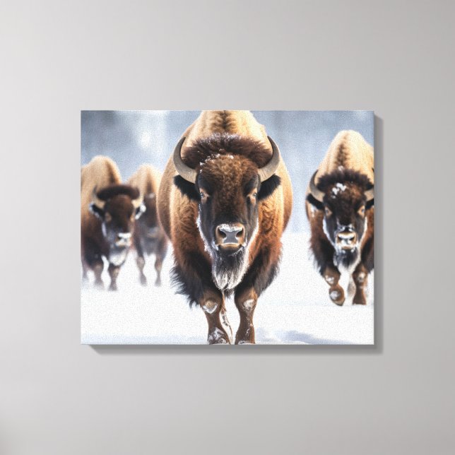 Toile de bison de Yellowstone (Recto)