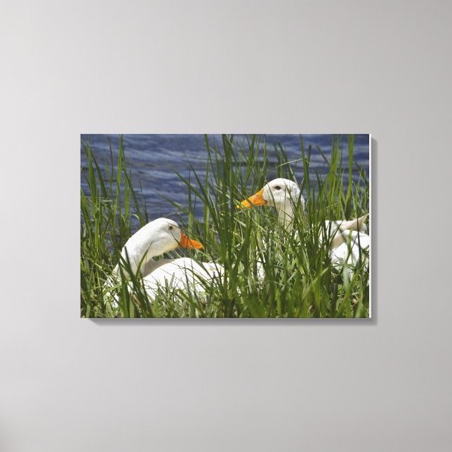 Toile de canard enrobée (Recto)