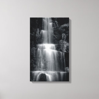 Toile de cascade noire et blanche Imprimer