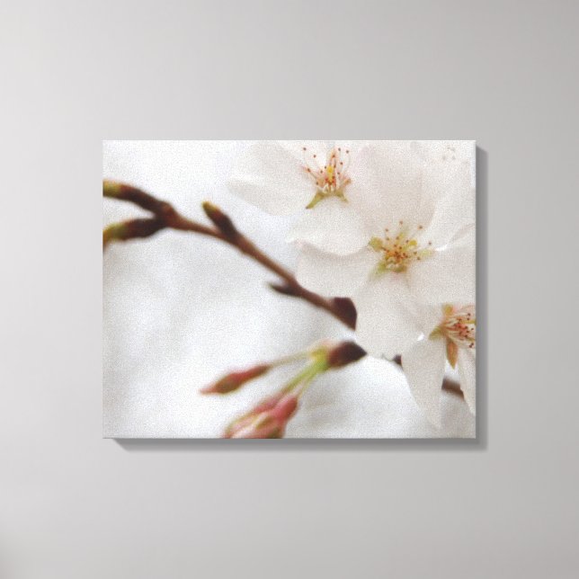Toile de Cherry Blossom (Recto)