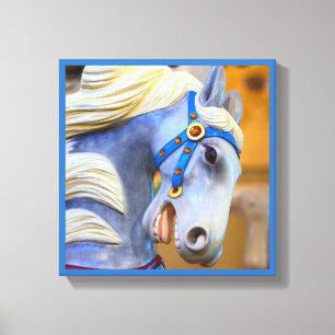 toile de cheval de manège 18 séries