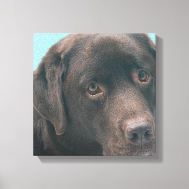 Toile de chien du laboratoire de chocolat Imprimer (Recto)