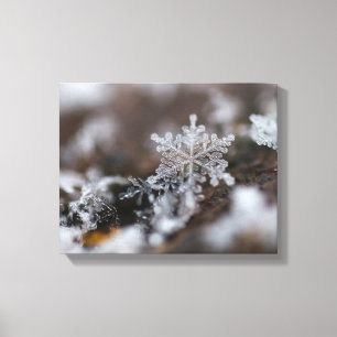 Toile de flocon de neige