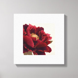 Toile de fond florale de pivoine – Botanique de lu