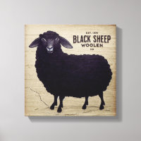 Toile de lin de la ferme Black Sheep Woolen Co.