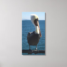 Toile de Pélican de mer salée